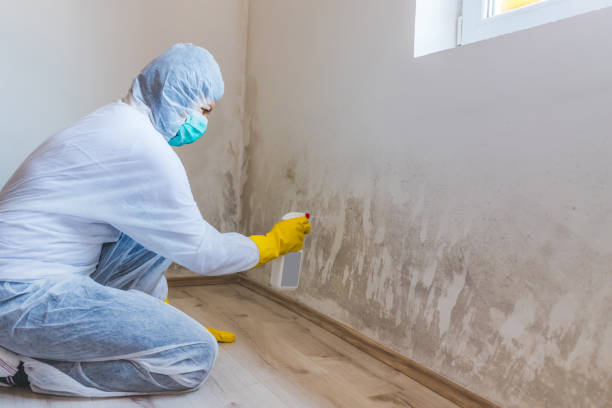 Crawl Space Mold Remediation treatment of floor joists in Burnsville